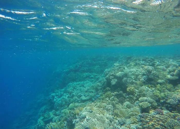 Star Of Dahab Hotel